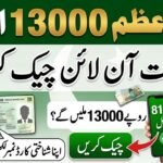 Prime Minister 13000 Check Online