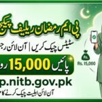 pmrrp.nitb.gov.pk