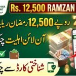 egov.kp.gov.pk Ramzan Relief Package