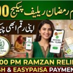 PM Ramzan Relief Package 13000 JazzCash Easypaisa